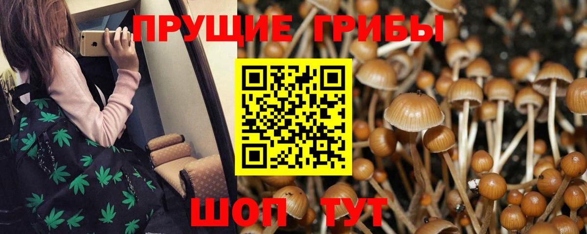 Псилоцибиновые грибы MAGIC MUSHROOMS  Псилоцибиновые грибы мухоморы  Саянск  Вход с VPN 